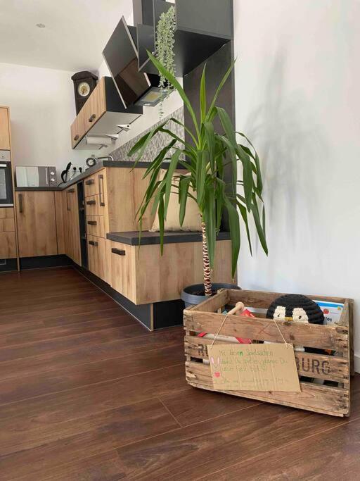 Gemuetliche Wohnung -Schwarzwald Neuweiler  エクステリア 写真